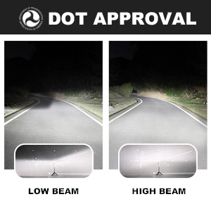 DOT