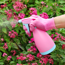 garden tool set