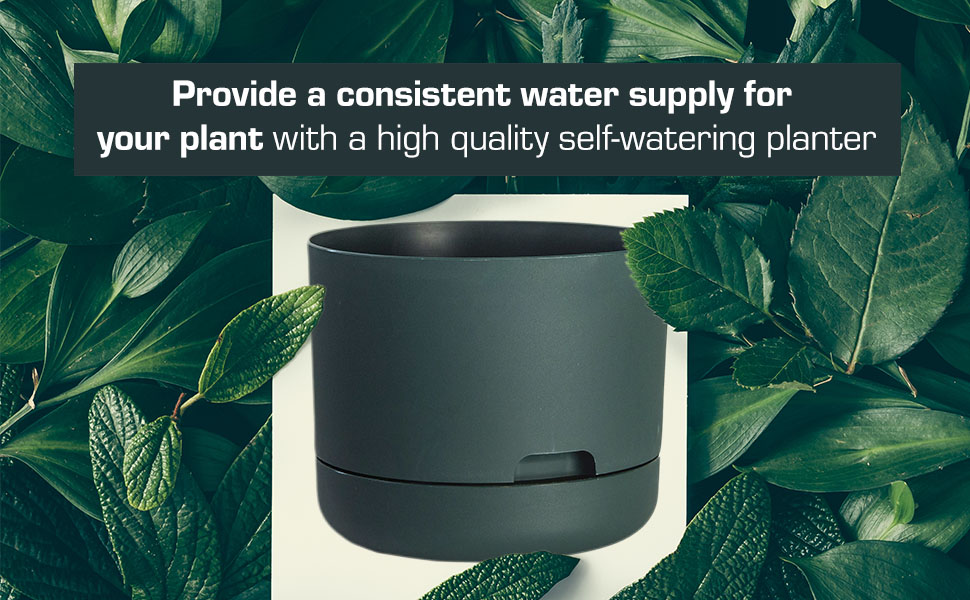 Rugg Round Self Watering Planter with Built in Saucer, UV