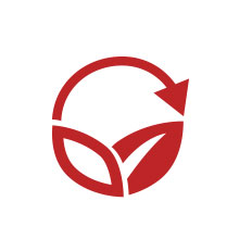 danish endurance alpine performance ski socks merino wool men women snowboard