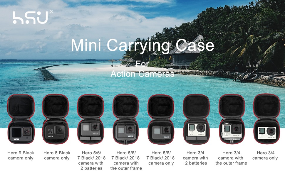 Mini Carrying Case Compatible with GoPro Hero 8/7/(2018)/6/5 Black,Session 5/4,Hero 3+