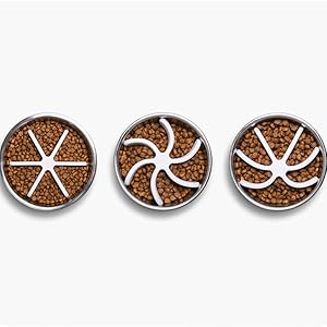 Slow Feeding Pet Bowl