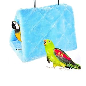 bird pent