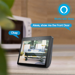 alexa camera