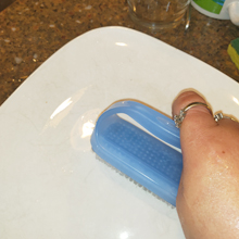dish brush