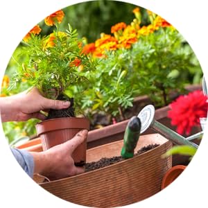 Small manufacture image 5