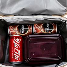 Breast pump bag spectra