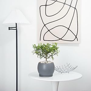 Amazon.co.jp: Ekirlin 植木鉢 陶器鉢 白 おしゃれ 丸 受け皿