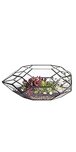 geometric terrarium