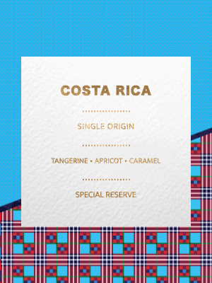 Costa Rican Rainforest Alliance Raw Green Unroasted Coffee Beans Roasting Roaster Fairtrade Arabica 