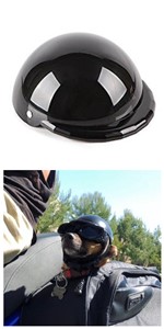 dog helmet