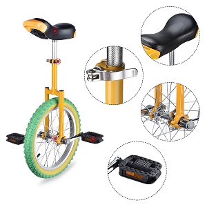 Wheel Unicycle