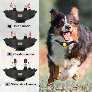 3 Training Modes & 2 Channels