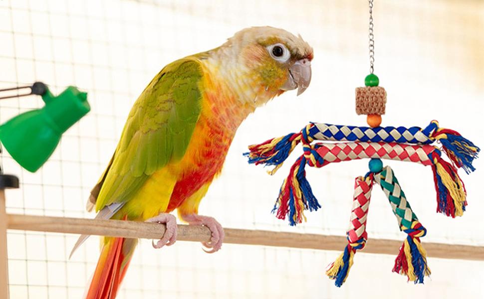Amazon | コザクラインコ おもちゃ | パロット 探索用