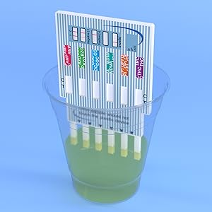 pregmate 12 panel urine test kit