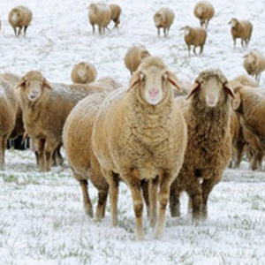 Small manufacture image 7