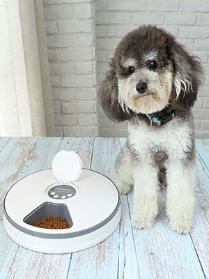 Small manufacture image 2