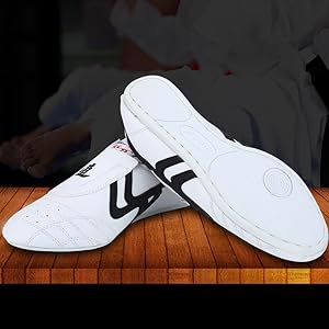 Taekwondo Boxen Kung Fu Tai Chi Schuhe