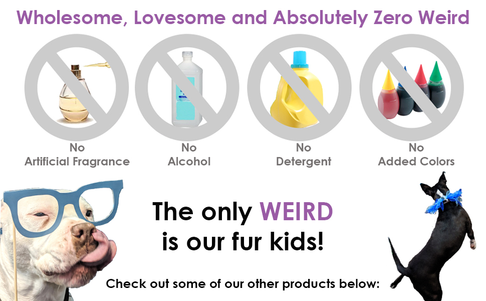 wholesome lovesome and absolutely zero weird fur kids american bully boston terrier mix mutt