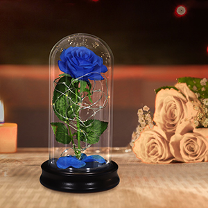 glass galaxy beauty and the beast infinity forever rose Birthday Christmas Mother's Day gift for her