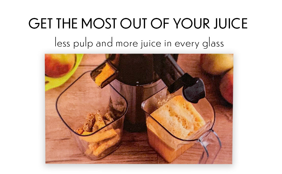 Small Mini Portable Compact Masticator Juicer Machine For