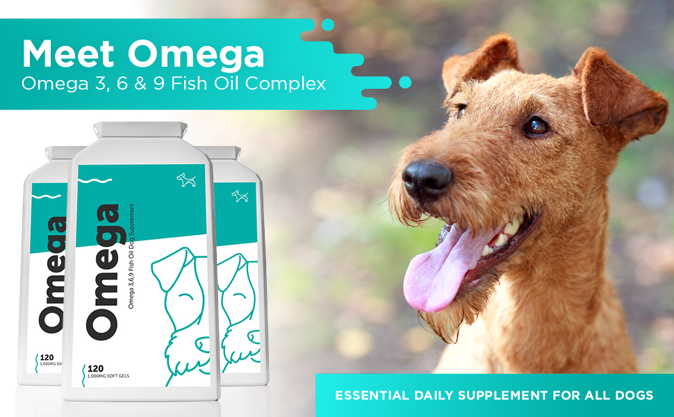 Dog's Lounge OMEGA Natural Omega 3, 6 & 9 Fish Oil Supplement for