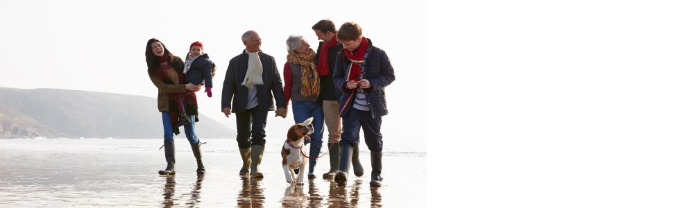 Ear Thermometer for Adults and Kids