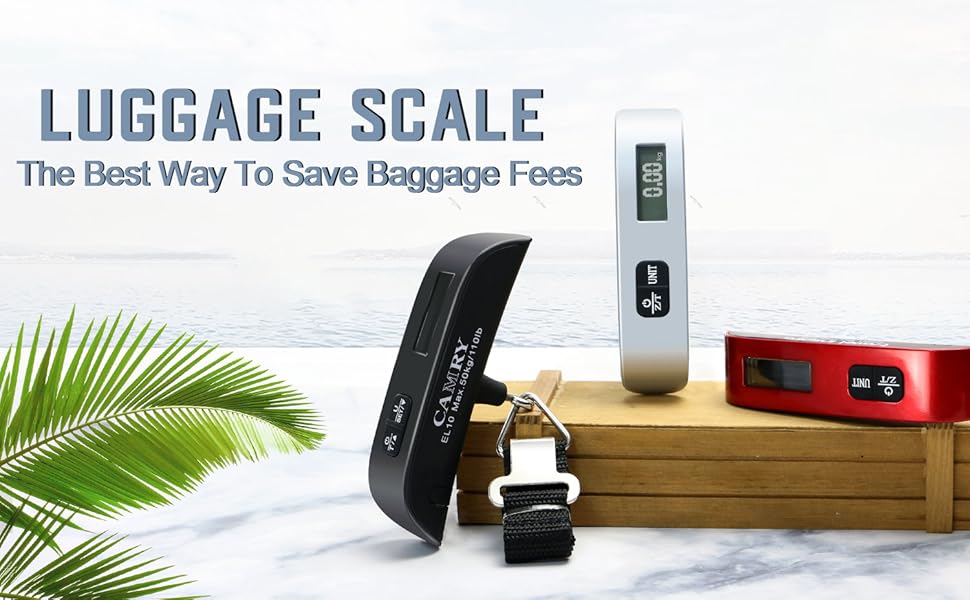 Top 10 Best digital scale for luggage DecisionDesk