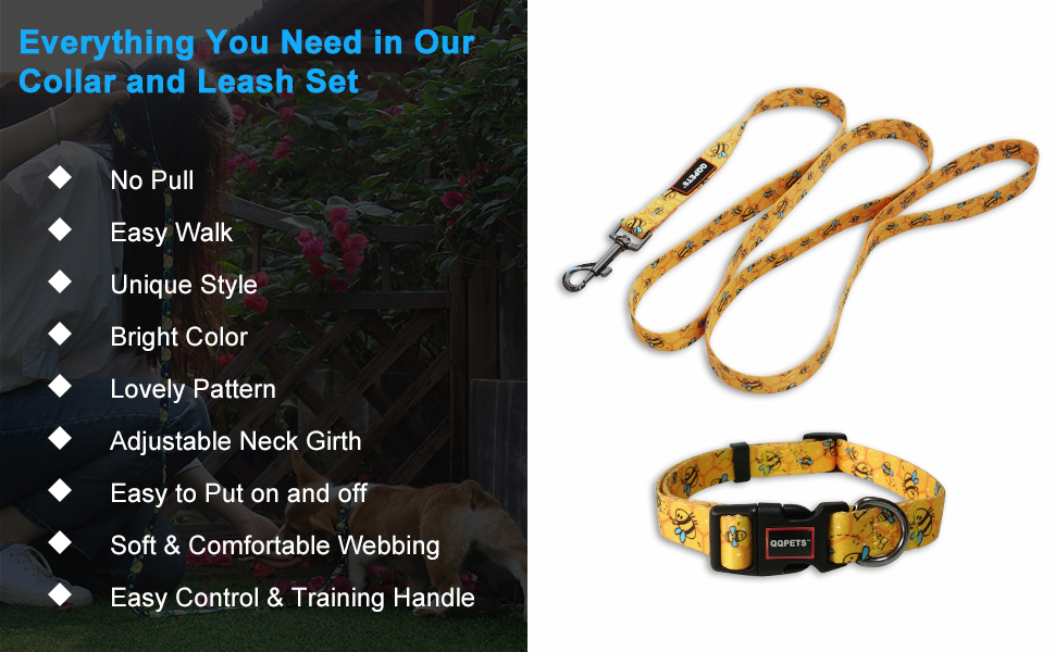 QQPETS Dog Leash and Collar Set Basic Collars Matching