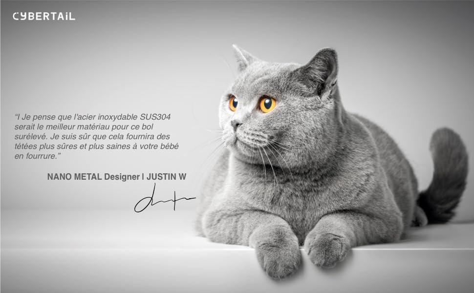 PETKIT CYBERTAIL Bol Surélevé Pr Chat En Acier Inoxydable, Inclinés Bols De Nourriture Pr Chat, Bols D'alimentation Antidérapants Sans Déversement Pr Chats Et Petits Chiens 14 Gamelles pour eau pour chat et chien Gamelles pour chat et chien en acier inoxydable