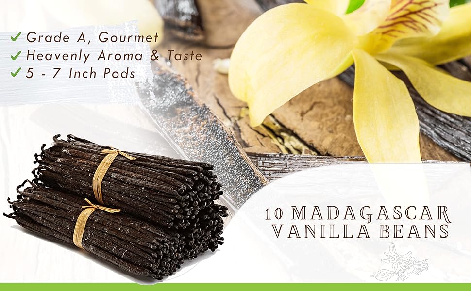 10 Madagascar Vanilla Beans Whole Grade A Vanilla Pods for Vanilla