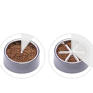 Slow Feeding Pet Bowl