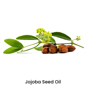  Jojoba Seed Oil