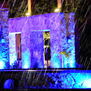 color change landscape light