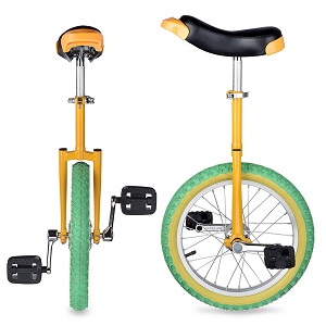 Wheel Unicycle