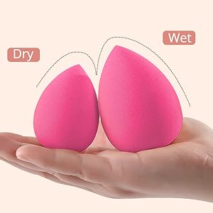 The Multipurpose Makeup Sponge