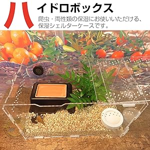 Amazon | ECONUS 爬虫類 隠れ家 シェルター ハウス 両生類 保湿