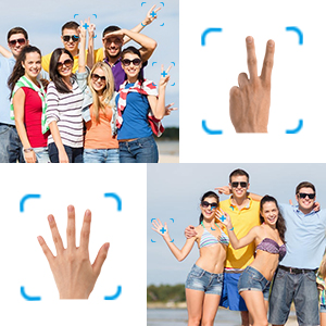 Gesture Control
