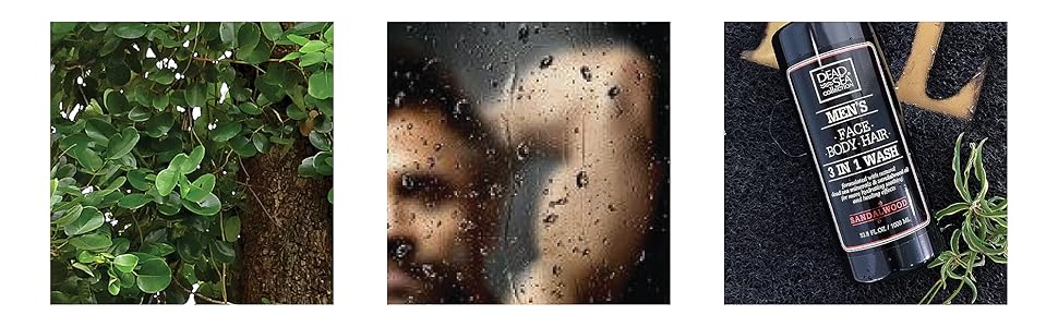 Dead Sea Collection Men's Mineral Face, Hair & Body Wash with Sandal-wood Extract