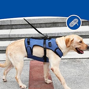 Coodeo dog lift harness