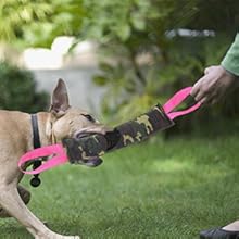 dog tug toy
