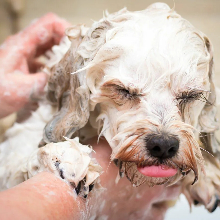 Small manufacture image 5