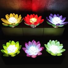 幸福　蓮の花、菊の花のランタン、盆提灯、ほおずき 幸福 蓮の花、菊の花のランタン、盆提灯、ほおずき 楽天市場