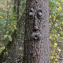 Tree Face Decor