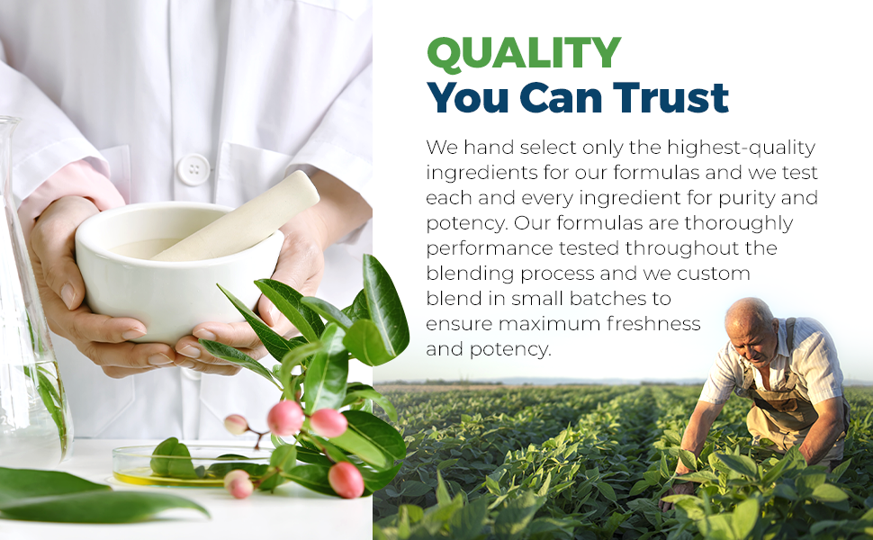 Advanced Prostate Control Supplement with Saw Palmetto for