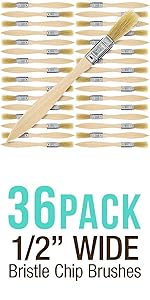 36pk - 1/2&#34; Wide Bristle Chip Brushes