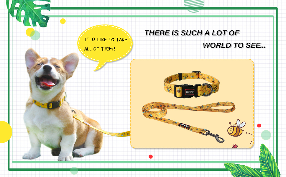 QQPETS Dog Leash and Collar Set Basic Collars Matching