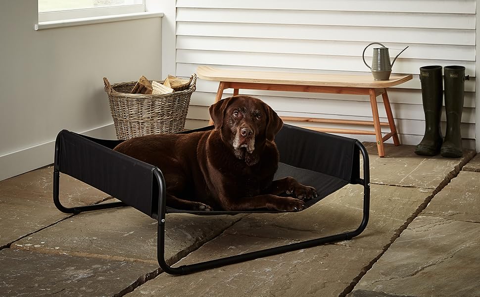 Bunty Sided Elevated Dog Bed 8 sided elevated