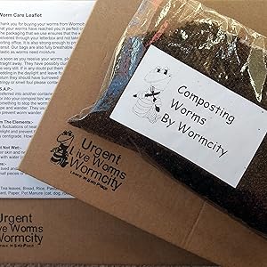 Small manufacture image 4