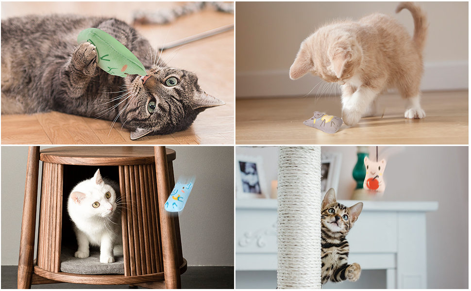 Dorakitten Cat Catnip Toys 5PCS Plush Interactive Cat Toys Cat Chew